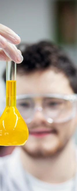 Student examining a yellow solution in a round-bottom flask during a chemistry experiment. Student examining a yellow solution in a round-bottom flask during a chemistry experiment.